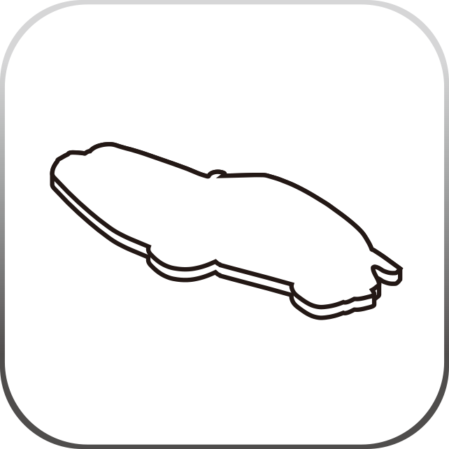 Icon Image